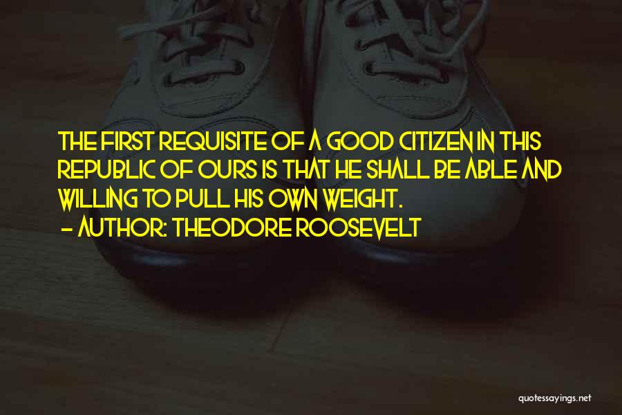 Good Citizen Quotes By Theodore Roosevelt