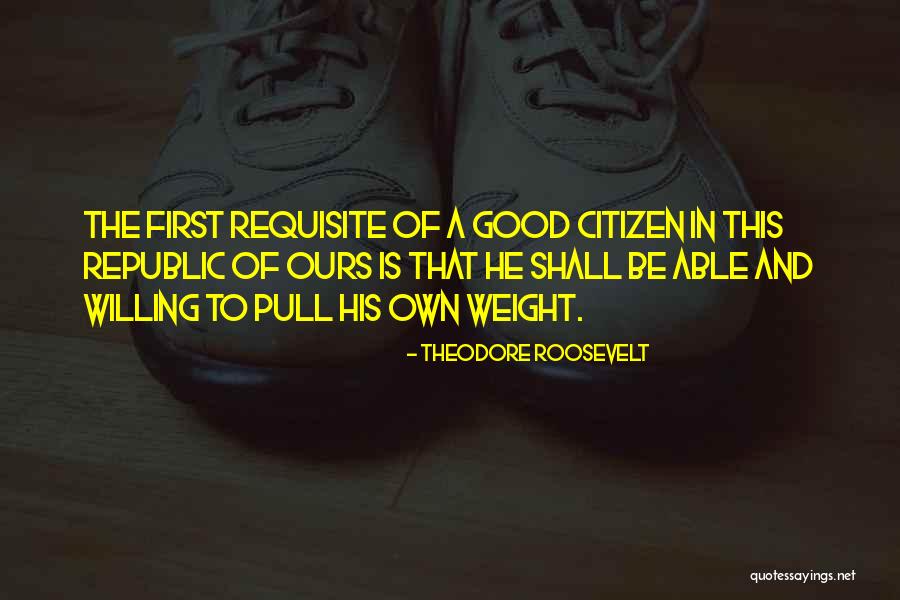 Good Citizen Quotes By Theodore Roosevelt