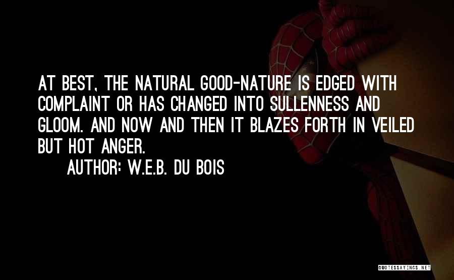 Good Complaint Quotes By W.E.B. Du Bois