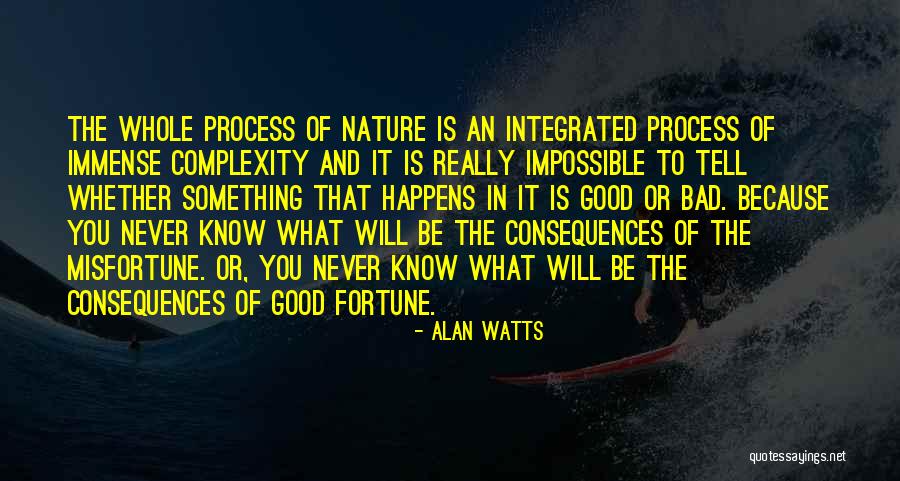 Good Consequences Quotes By Alan Watts