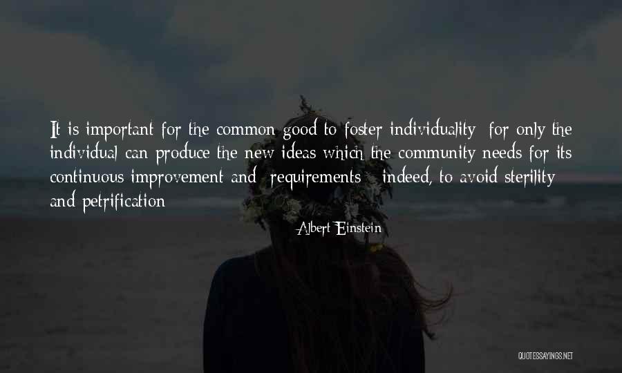 Good Continuous Improvement Quotes By Albert Einstein