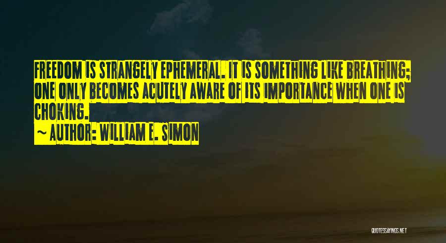 Good Control Freak Quotes By William E. Simon