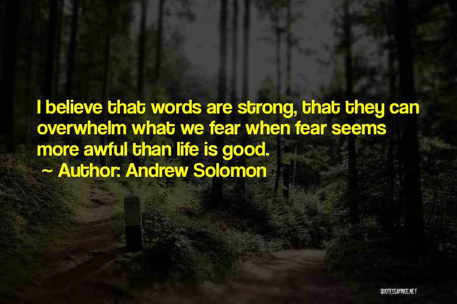 Good Conversation Life Quotes By Andrew Solomon