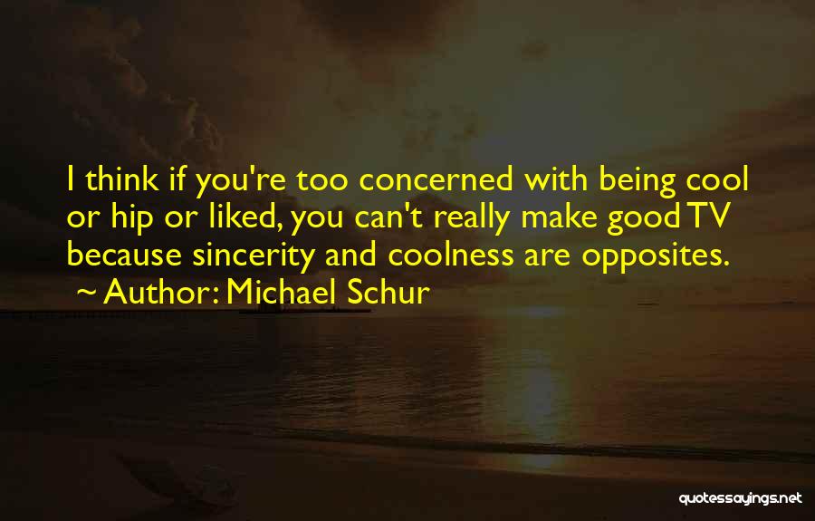 Good Coolness Quotes By Michael Schur