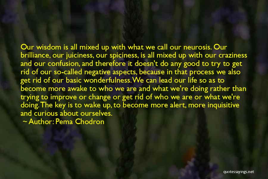 Good Curious Life Quotes By Pema Chodron