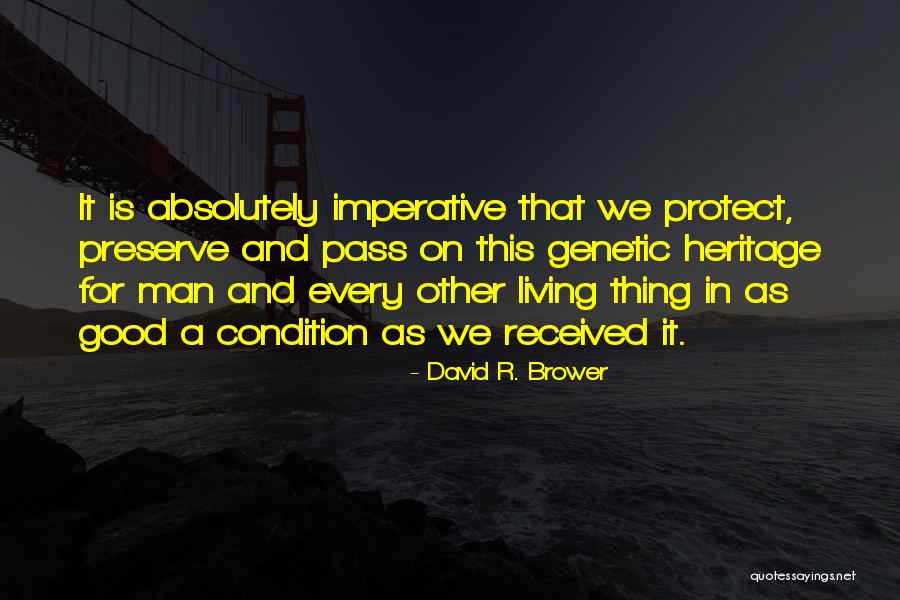 Good David Brower Quotes By David R. Brower