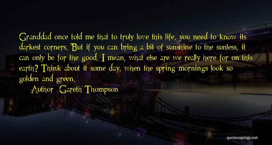 Good Day I Love You Quotes By Gareth Thompson