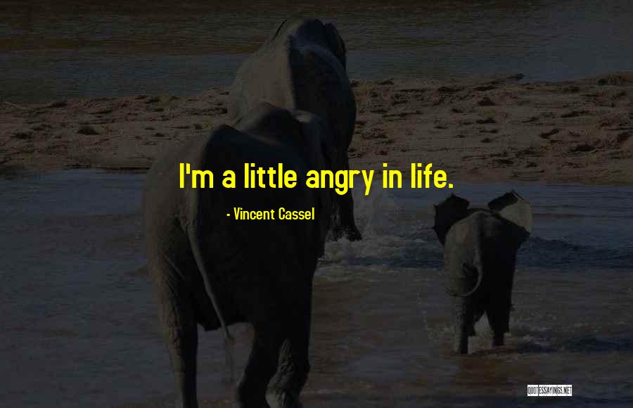 Good Downgrade Quotes By Vincent Cassel Good Downgrade Quotes By Vincent Cassel