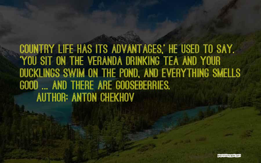 Good Drinking Quotes By Anton Chekhov