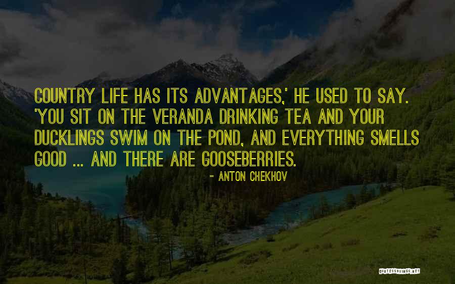 Good Drinking Quotes By Anton Chekhov