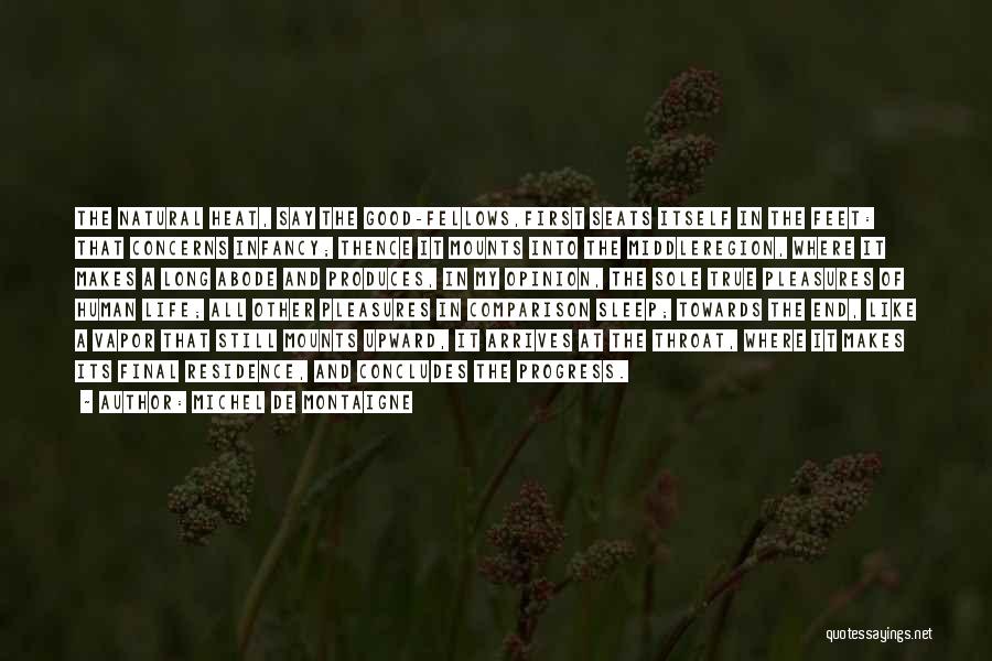 Good Drinking Quotes By Michel De Montaigne Good Drinking Quotes By Michel De Montaigne