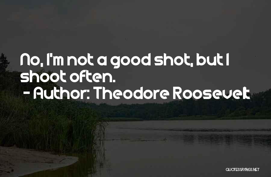Good Duck Hunting Quotes By Theodore Roosevelt