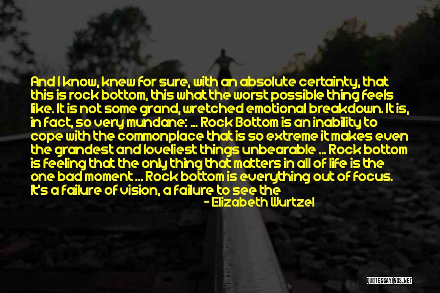 Good Emotional Life Quotes By Elizabeth Wurtzel Good Emotional Life Quotes By Elizabeth Wurtzel