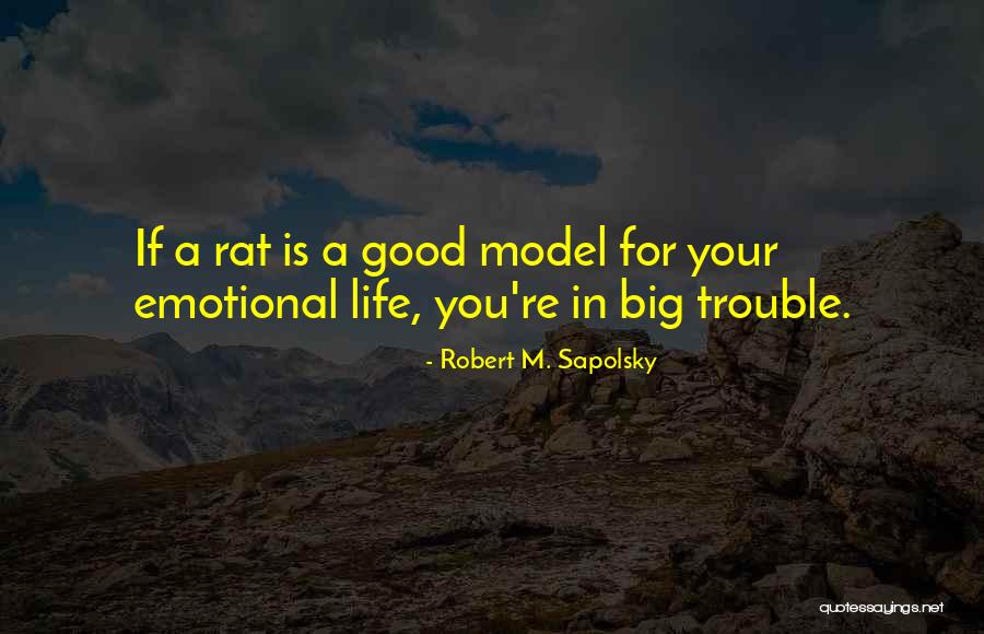 Good Emotional Life Quotes By Robert M. Sapolsky Good Emotional Life Quotes By Robert M. Sapolsky