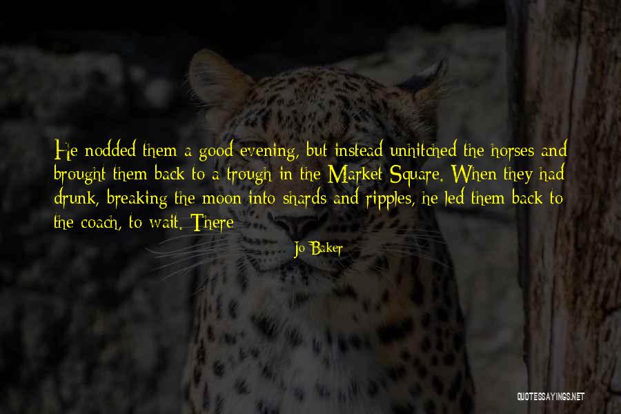 Good Evening Quotes By Jo Baker Good Evening Quotes By Jo Baker