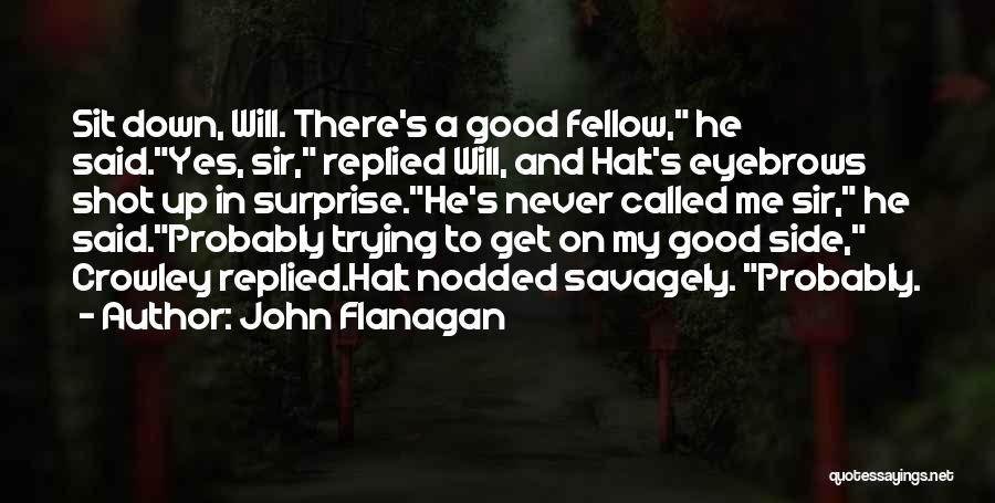 Good Eyebrows Quotes By John Flanagan