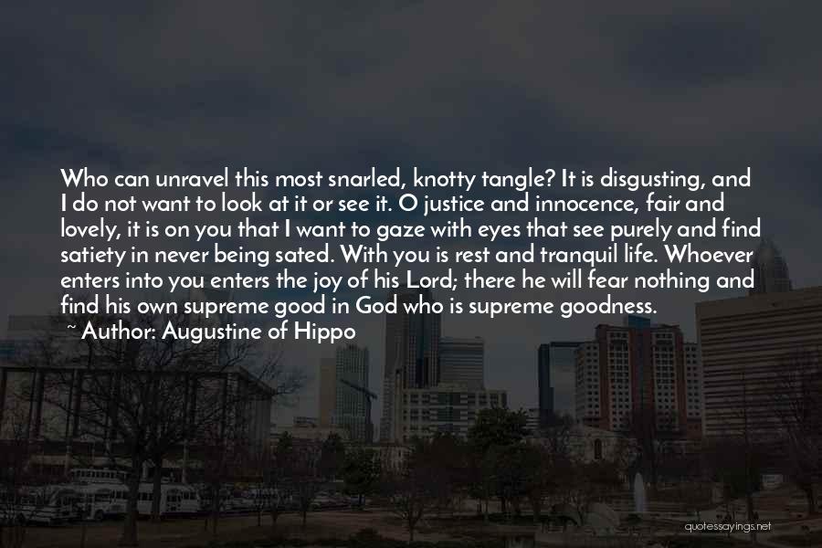 Good Fair Life Quotes By Augustine Of Hippo