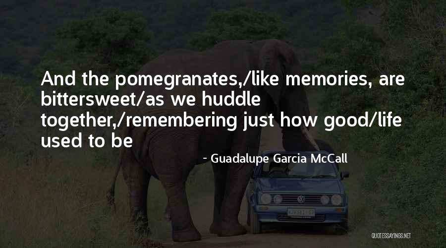 Good Family Memories Quotes By Guadalupe Garcia McCall