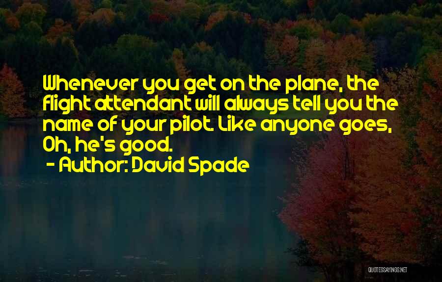 Good Flight Attendant Quotes By David Spade