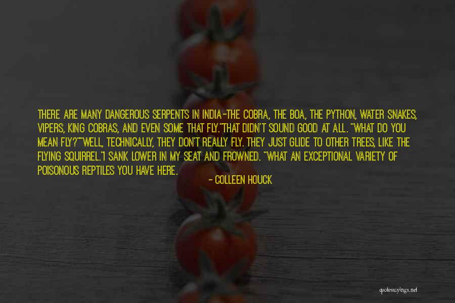 Good Flying Quotes By Colleen Houck Good Flying Quotes By Colleen Houck