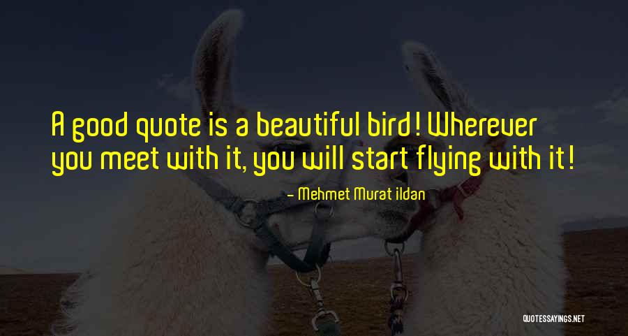 Good Flying Quotes By Mehmet Murat Ildan Good Flying Quotes By Mehmet Murat Ildan