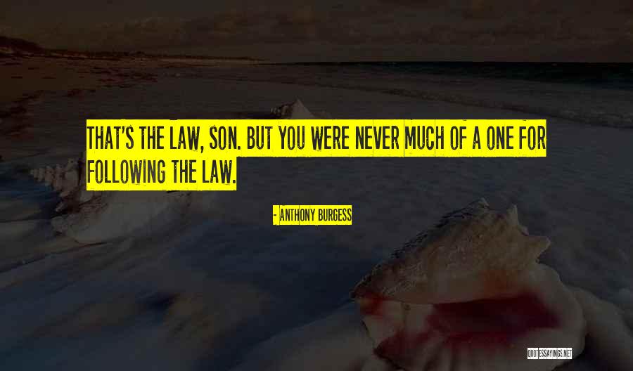 Good Following Quotes By Anthony Burgess