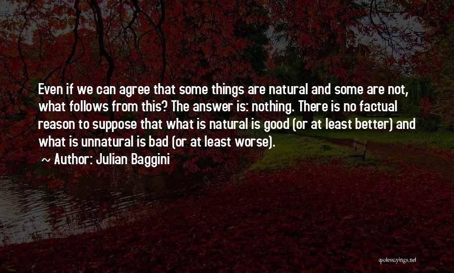 Good Follows Bad Quotes By Julian Baggini