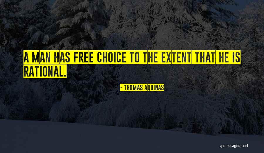 Good Frenemy Quotes By Thomas Aquinas Good Frenemy Quotes By Thomas Aquinas