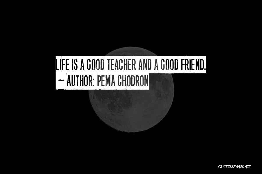 Good Friend Life Quotes By Pema Chodron