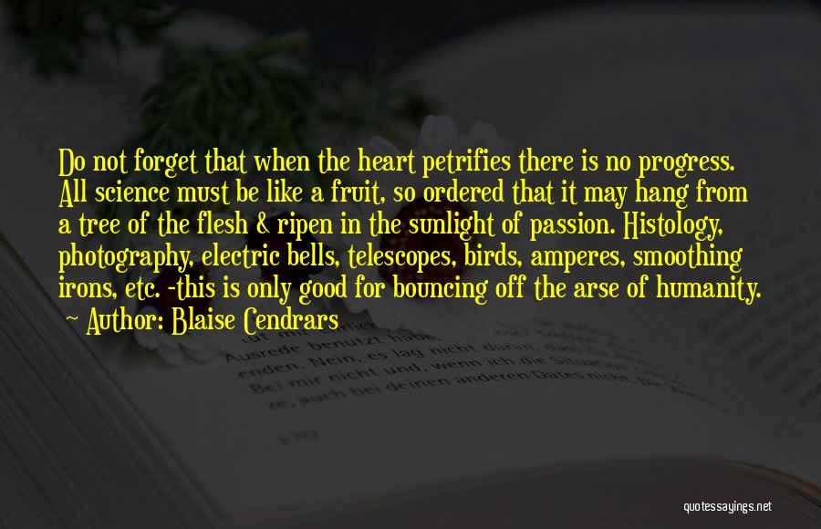 Good From Heart Quotes By Blaise Cendrars