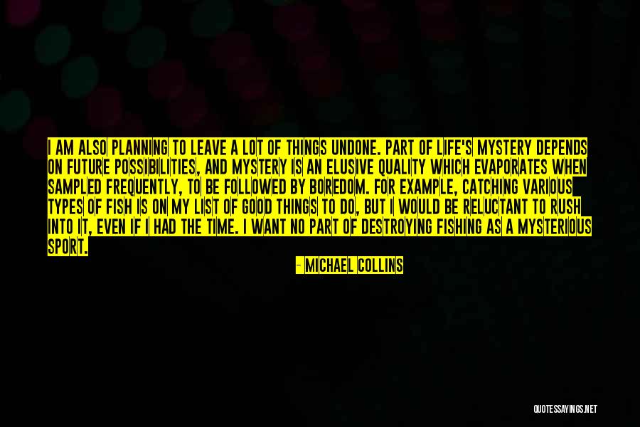 Good Future Life Quotes By Michael Collins