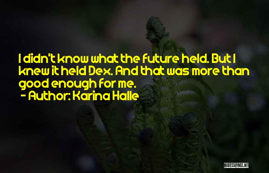 Good Future Quotes By Karina Halle