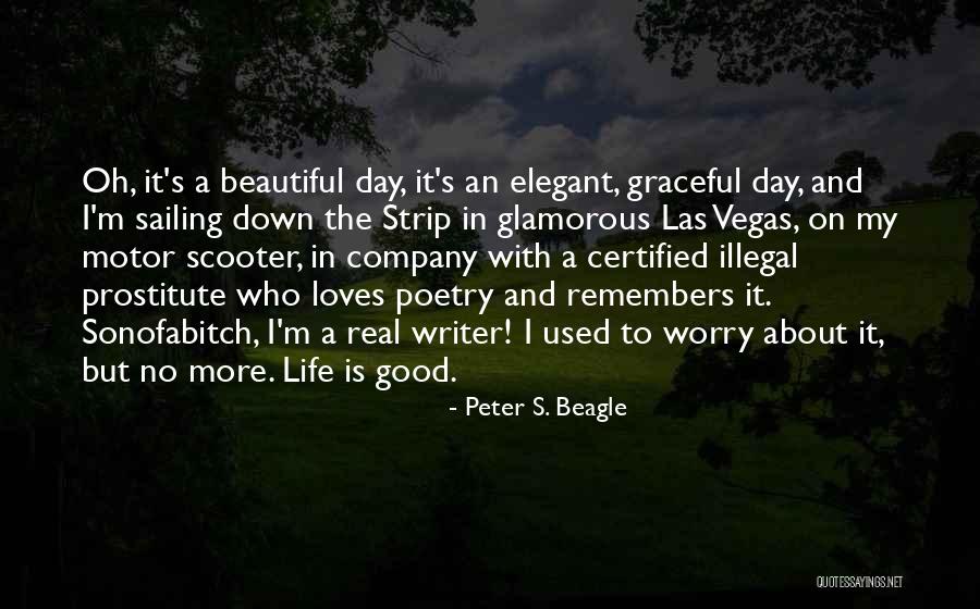 Good Glamorous Quotes By Peter S. Beagle