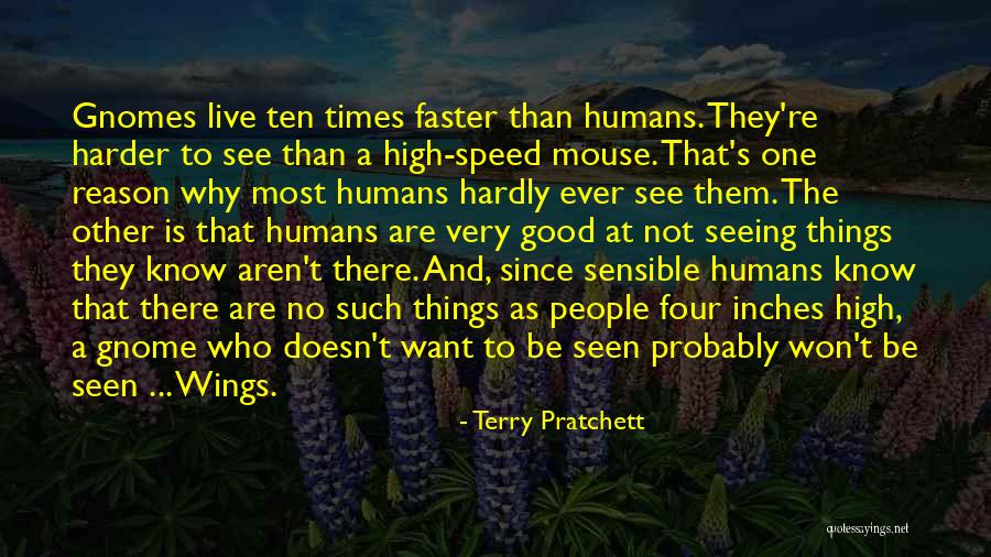 Good Gnomes Quotes By Terry Pratchett Good Gnomes Quotes By Terry Pratchett