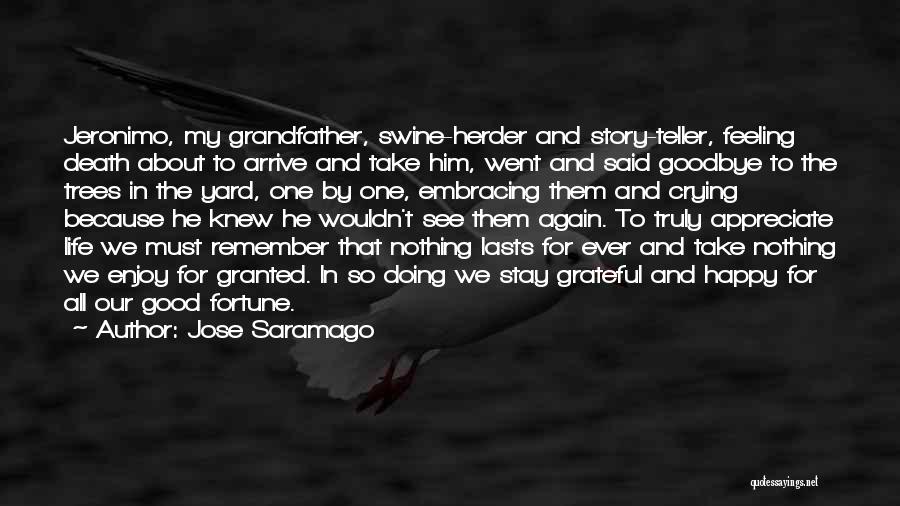 Good Goodbye Quotes By Jose Saramago