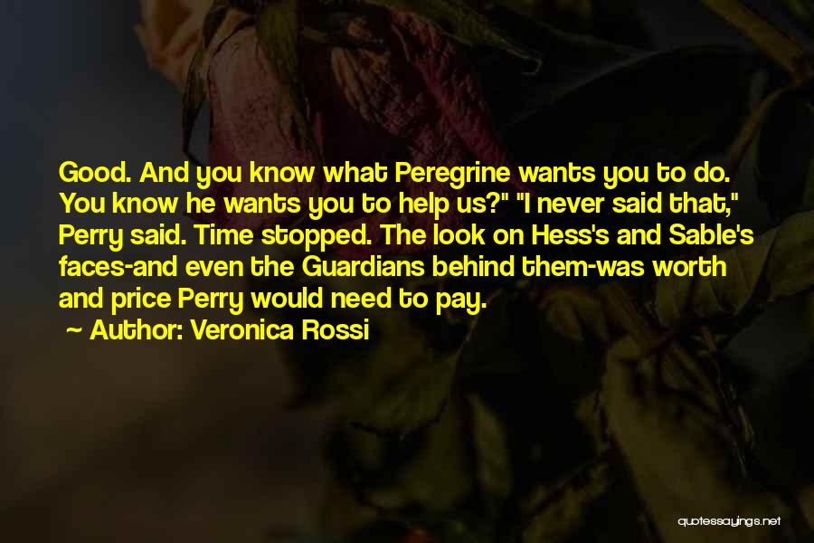Good Guardians Quotes By Veronica Rossi