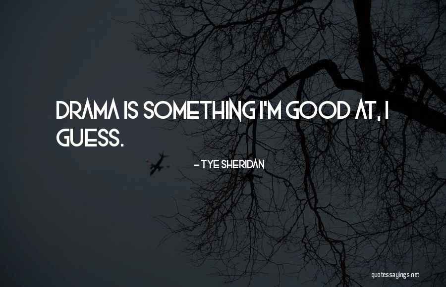 Good Guess Quotes By Tye Sheridan Good Guess Quotes By Tye Sheridan