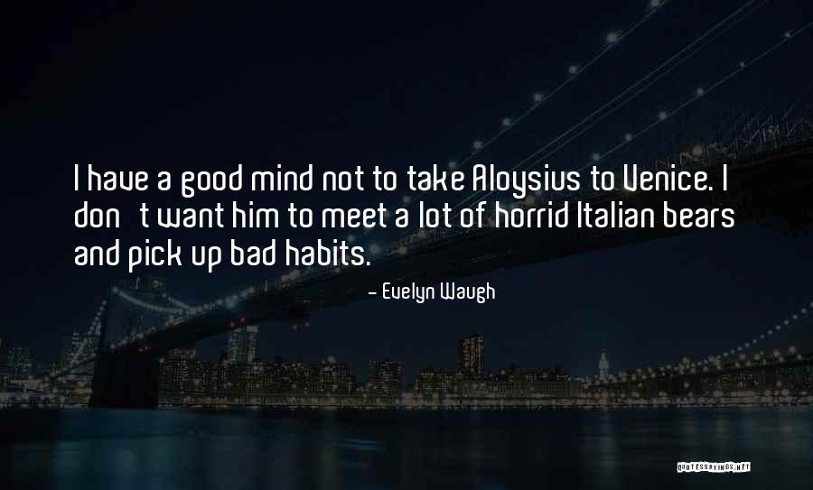 Good Habits Quotes By Evelyn Waugh Good Habits Quotes By Evelyn Waugh