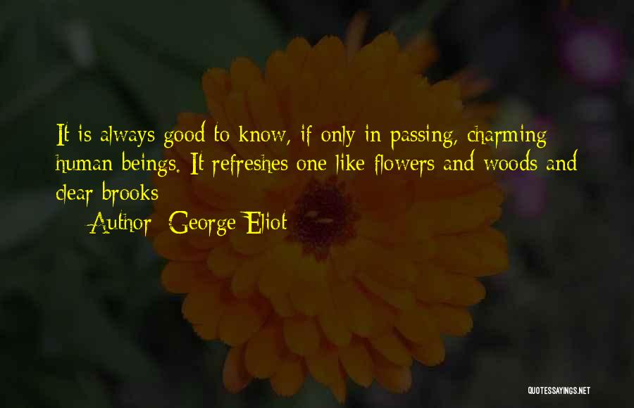 Good Human Beings Quotes By George Eliot