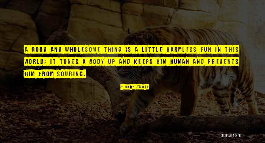 Good Human Body Quotes By Mark Twain