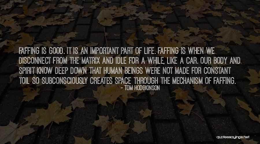 Good Human Body Quotes By Tom Hodgkinson