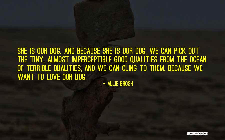 Good Humans Quotes By Allie Brosh Good Humans Quotes By Allie Brosh