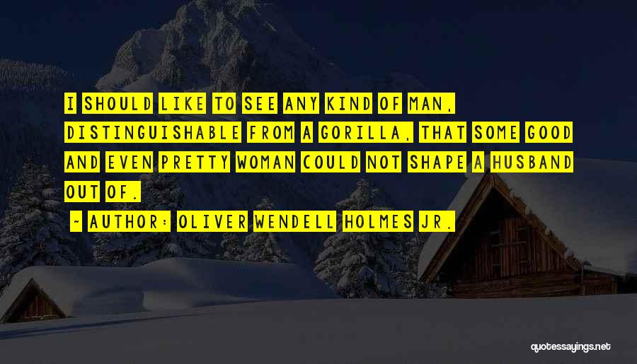 Good Husband Quotes By Oliver Wendell Holmes Jr.