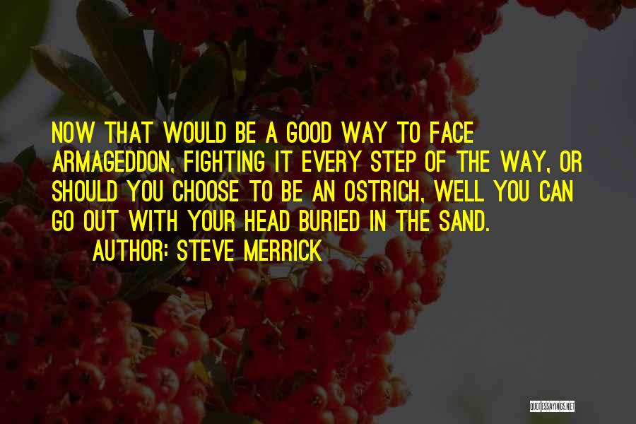 Good In Your Face Quotes By Steve Merrick