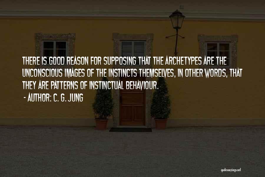 Good Instincts Quotes By C. G. Jung