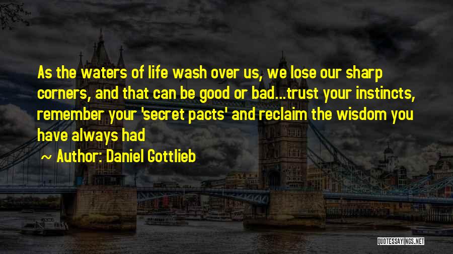 Good Instincts Quotes By Daniel Gottlieb