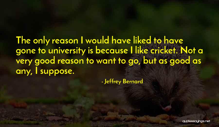 Good Jeffrey Bernard Quotes By Jeffrey Bernard