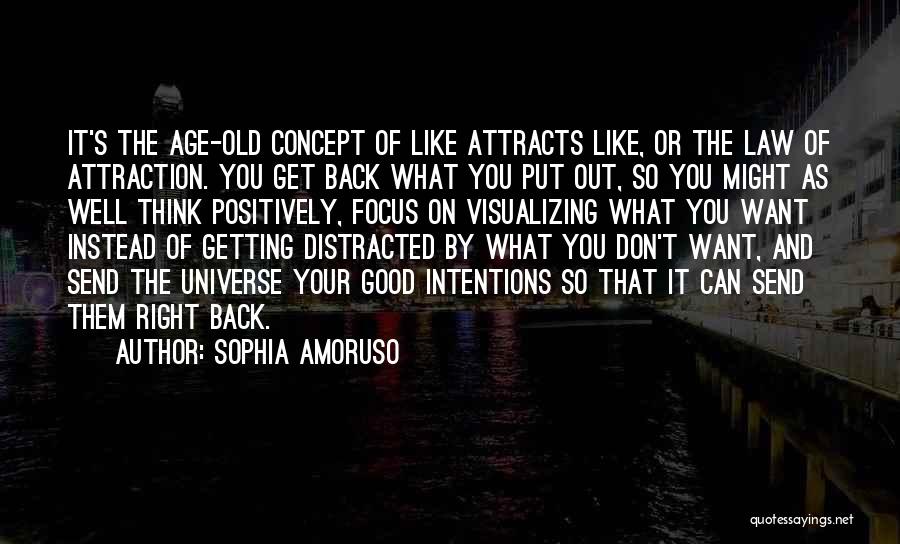 Good Law Of Attraction Quotes By Sophia Amoruso