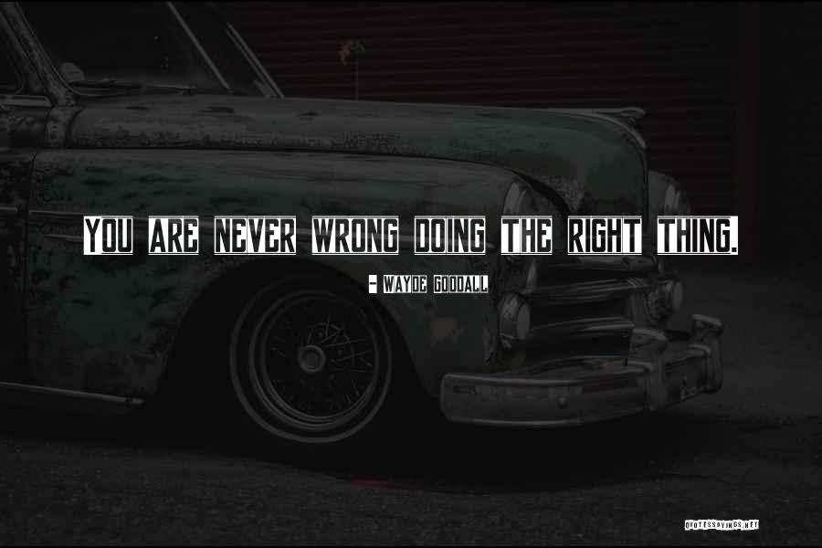 Good Leopard Quotes By Wayde Goodall Good Leopard Quotes By Wayde Goodall