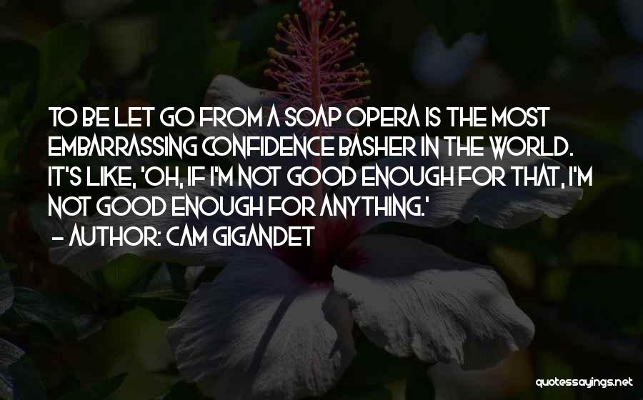 Good Let Go Quotes By Cam Gigandet